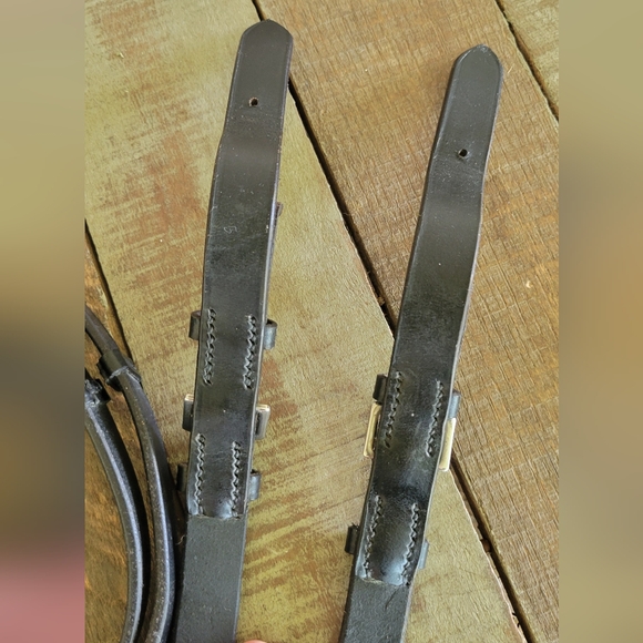 Reins - Picture 7 of 8